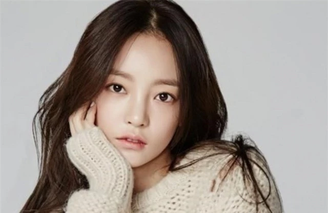 Anh trai Goo Hara mở họp báo, buồn bã vì Đạo luật Hara bị bác bỏ - 1