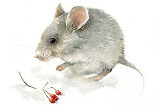 Cuối tháng 5, 3 con giáp phúc đức nồng hậu, dự báo sự nghiệp đột phá kéo theo tiền bạc dồi dào, hạnh phúc viên mãn