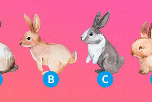 Trắc nghiệm: Bạn muốn tình yêu của mình như thế nào?