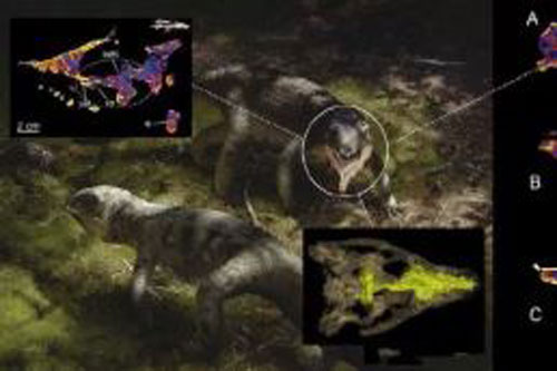 Các nhà cổ sinh vật học phát hiện ra loài bò sát "lắm mồm" nhất kỷ Phấn trắng