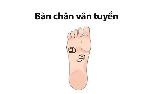 Tướng bàn chân giàu có phú quý