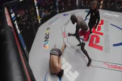 Võ sĩ Thụy Điển ra đòn như ‘vũ bão’ tiễn đối thủ ‘vào cơn mê’