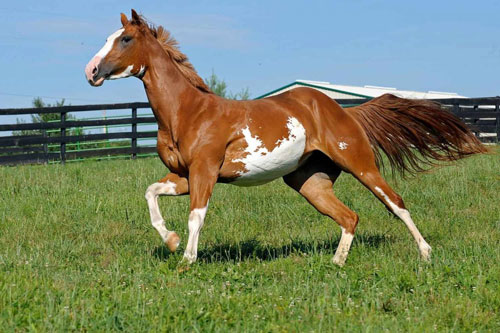 ‘Số trời’ đã định, những con giáp nữ này càng kết hôn muộn càng dễ giàu sang phú quý, hạnh phúc viên mãn