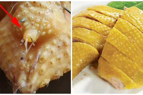 Bộ phận cực độc của vịt, gà, lợn, 'thèm đến chết' cũng tuyệt đối không ăn kẻo mang hoạ
