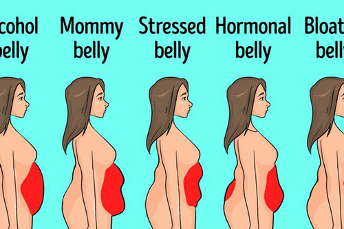 Đây chính là lý do khiến ai cũng "vật lộn" với việc giảm mỡ bụng nhưng đa số đều thất bại