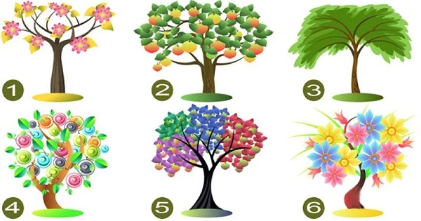 Bạn chọn cây nào?