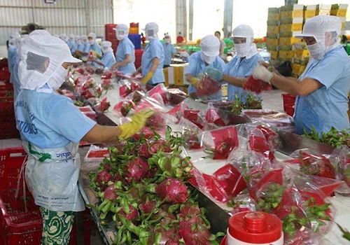 Đẩy mạnh xuất khẩu nông sản sang thị trường Trung Quốc (Ảnh: Internet) 