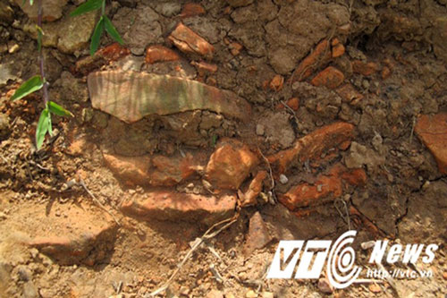 Kh&#xE1;m ph&#xE1; &#x111;&#x1EB7;c bi&#x1EC7;t v&#x1EC1; di ch&#x1EC9; tr&#x1EAD;n &#x111;&#xE1;nh quan tr&#x1ECD;ng ti&#xEA;u di&#x1EC7;t Nguy&#xEA;n M&#xF4;ng