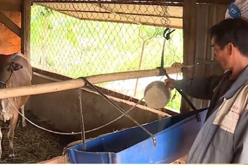 Xin thoát nghèo để nhường suất hỗ trợ cho hộ khó khăn hơn