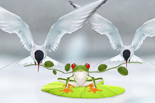 Câu chuyện của ếch xanh và chim nhạn đáng suy ngẫm: Người ta không chết vì khổ, vì đói, mà chết vì tức