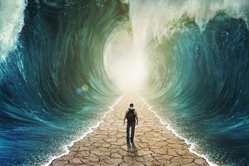 Giá trị đích thực của một con người vốn dĩ nằm ở đây