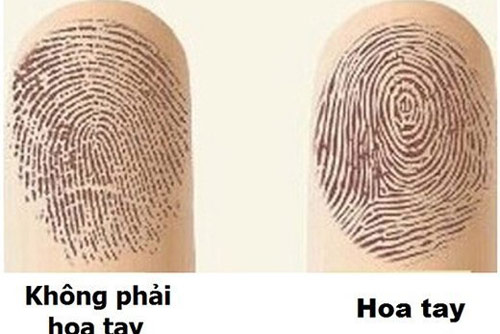 Sở hữu tướng hoa tay “vàng 10”: Cuộc đời bạn được trải thảm đỏ, càng già càng giàu, có thể hưởng phúc trọn đời