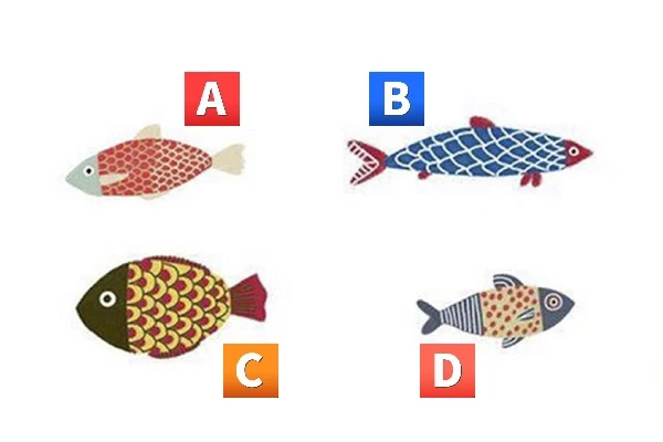 Bạn chọn con cá nào?