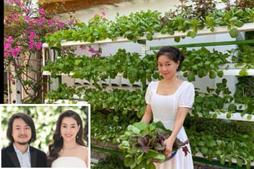 Khám phá vườn rau sạch của vợ chồng 'đạo diễn của các Hoa hậu' Hoàng Nhật Nam