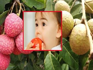 4 loại trái cây cần hạn chế bé ăn vào mùa Hè nếu không muốn con bị táo bón, tâm tính hay cáu giận