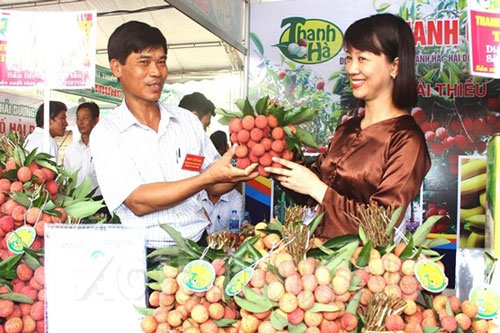 Hải Dương xuất khẩu lô vải thiều đầu tiên năm 2020