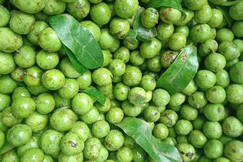 Mê sấu non đầu mùa, giới nội trợ vung tiền triệu trữ ăn dần