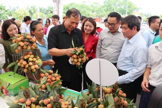 Quảng bá, tiêu thụ Vải thiều Thanh Hà tại Hà Nội