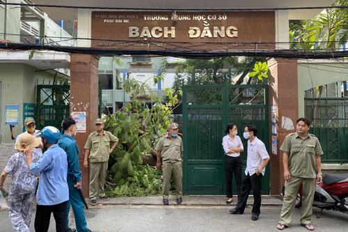 Hiệu trưởng nhận trách nhiệm vụ cây đè chết học sinh: "Trách nhiệm là trách nhiệm đến đâu?"