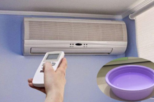 Đặt chậu nước trong phòng điều hòa tưởng đúng mà hóa "ngớ ngẩn", biết sự thật ai cũng "ngã ngửa"
