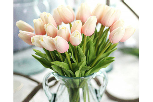 5 loại cây "phá phong thủy", tuyệt đối không nên trồng trong nhà