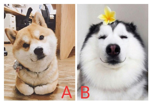 Trắc nghiệm: Phẩm chất nào ở bạn được mọi người đề cao?