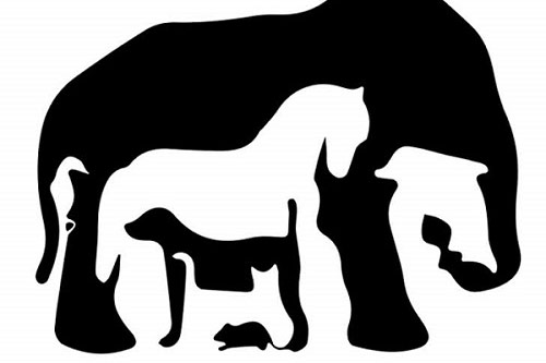 Trắc nghiệm: Ưu khuyết điểm chính của bạn là gì?