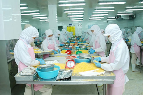 Xuất khẩu cá tra dần hồi phục