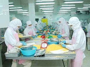 Xuất khẩu cá tra dần hồi phục