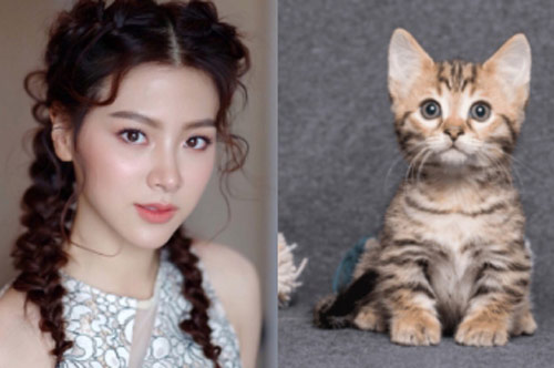 Trong 6 ngày tới, có 3 con giáp dễ được phúc tinh chiếu mệnh, "đỏ hơn trúng số độc đắc"