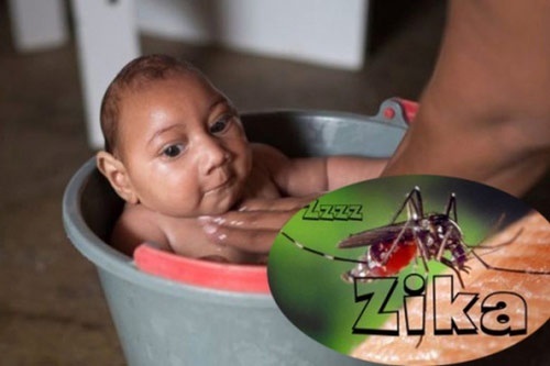 Dịch Zika gây bệnh đầu nhỏ bùng phát: Chuyên gia chỉ cách để mẹ bầu và thai nhi không gặp nguy hiểm