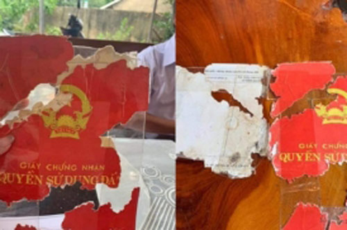 Nghe lời bố giấu chặt sổ đỏ không cho vợ biết, anh chàng nhận cái kết "khóc không ra nước mắt"