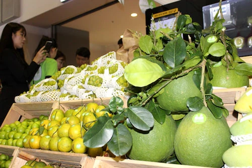 Ngành hàng trái cây Việt cần tận dụng “mỏ vàng” XK trực tuyến