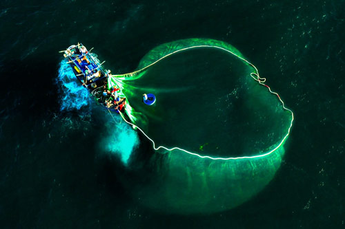 Ng&#x1EE1; ng&#xE0;ng tr&#x1B0;&#x1EDB;c v&#x1EBB; &#x111;&#x1EB9;p m&#x1EDB;i l&#x1EA1; c&#x1EE7;a Ph&#xFA; Y&#xEA;n