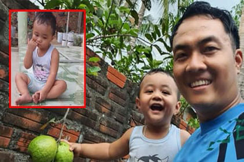 Hai bố con hí hửng ăn ổi chín 'vượt tường' nhà hàng xóm sau thời gian đợi 'dài cổ'... và cái kết đắng