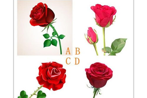 Trắc nghiệm: Bạn nên tránh nói gì khi cãi nhau với người ấy?