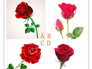 Trắc nghiệm: Bạn nên tránh nói gì khi cãi nhau với người ấy?