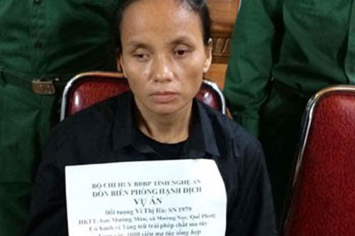 Nghệ An: “Nữ quái” 41 tuổi “dắt lưng” 15 gói ma túy