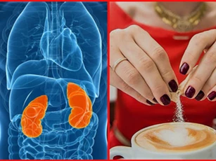 Điểm danh 4 loại thực phẩm khoái khẩu của người Việt dễ gây suy thận nhanh chóng, càng ăn càng nhanh đi chạy thận