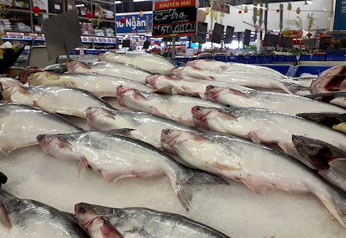 Xu&#x1EA5;t kh&#x1EA9;u c&#xE1; tra bao gi&#x1EDD; tho&#xE1;t t&#x103;ng tr&#x1B0;&#x1EDF;ng &#xE2;m?