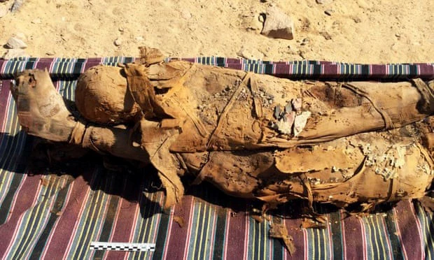 Các xác ướp sẽ được nghiên cứu bởi một nhà giải phẫu học trước khi đưa trở lại ngôi mộ (Ảnh: Bảo tàng cổ vật Ai Cập)