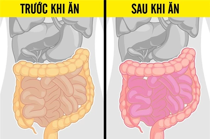 9 tác dụng phụ khi ăn quá nhiều cà chua, điều số 8 nguy hiểm nhất có thể mất mạng - 7