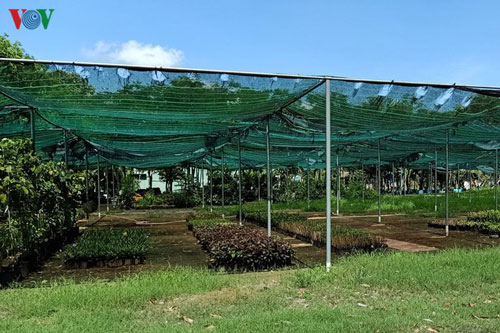 Cần siết quản lý để chặn đầu cơ, bỏ hoang đất