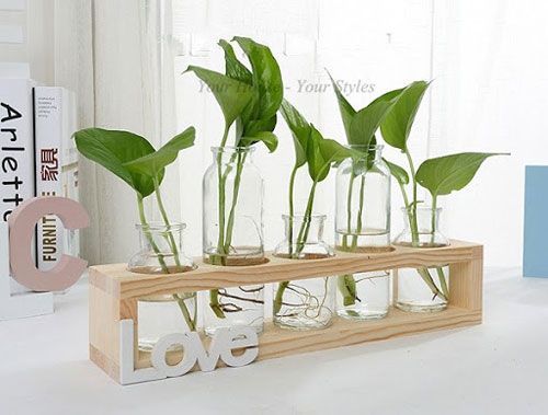 CLIP: Mách bạn 7 loại cây trồng trong nước trang trí bàn làm tuyệt đẹp