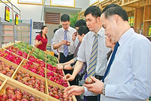 Xuất siêu 3,3 tỷ USD, nông sản tiếp tục 'khai hoang' thị trường mới