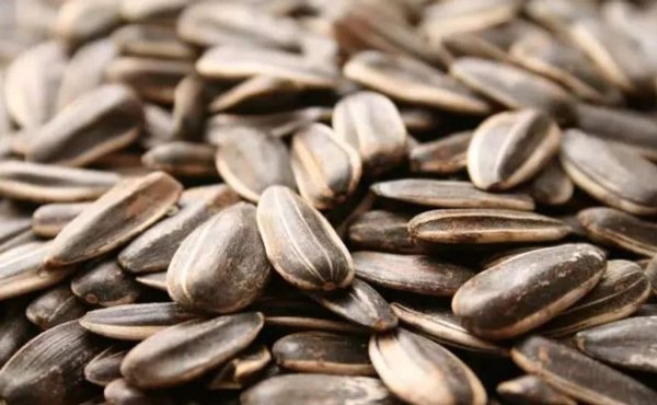 Nôn ra 700ml máu sau khi ăn hạt hướng dương, đừng dại mắc phải sai lầm này
