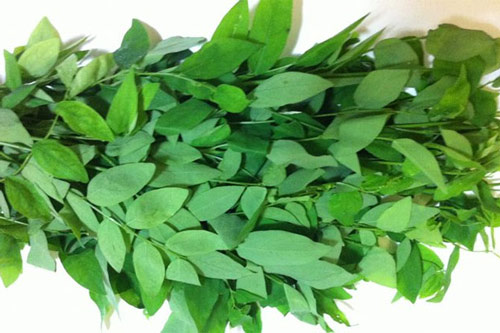 Chuyên gia cảnh báo: Sai lầm khi ăn rau ngót khiến bạn phải hối hận cả đời