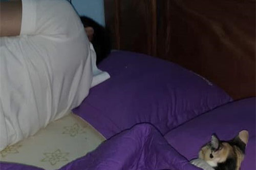 Đuổi chồng sang phòng khác ngủ, nửa đêm tỉnh dậy vợ sững sờ phát hiện "kẻ thứ ba" đang say sưa bên chồng