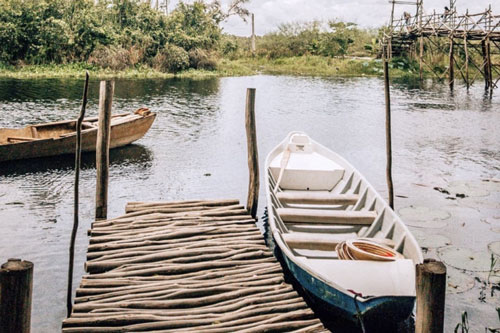 3 cánh rừng nguyên sinh miền Tây nổi tiếng trong giới xê dịch