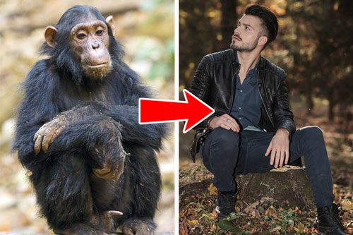 Con người tiến hóa từ vượn? Những quan điểm sinh học sai lầm mà nhiều người vẫn 'tin sái cổ'